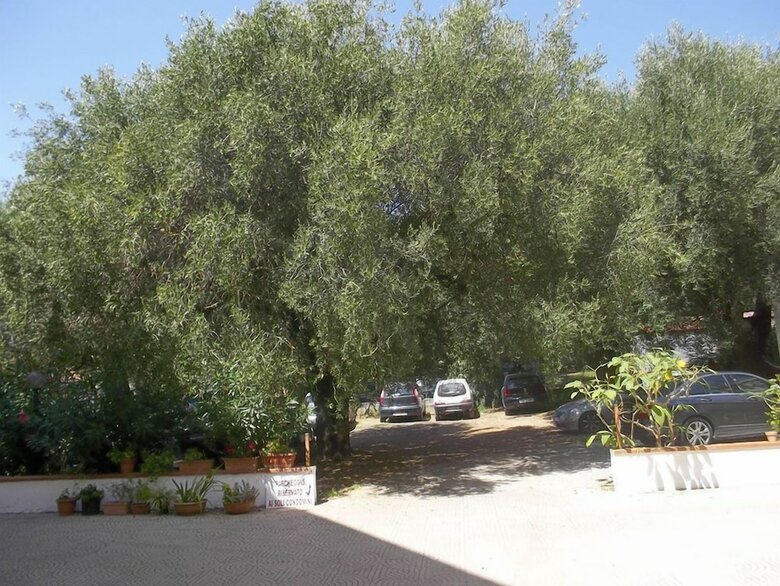 Apartamento Appartamenti Cialoma