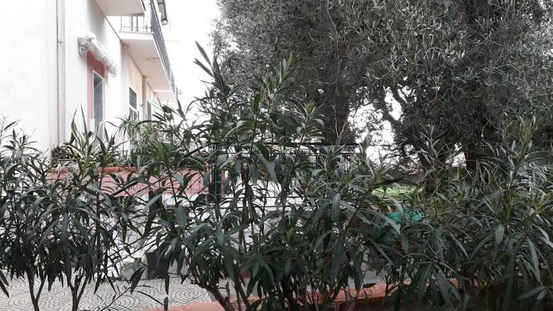 Apartamento Appartamenti Cialoma