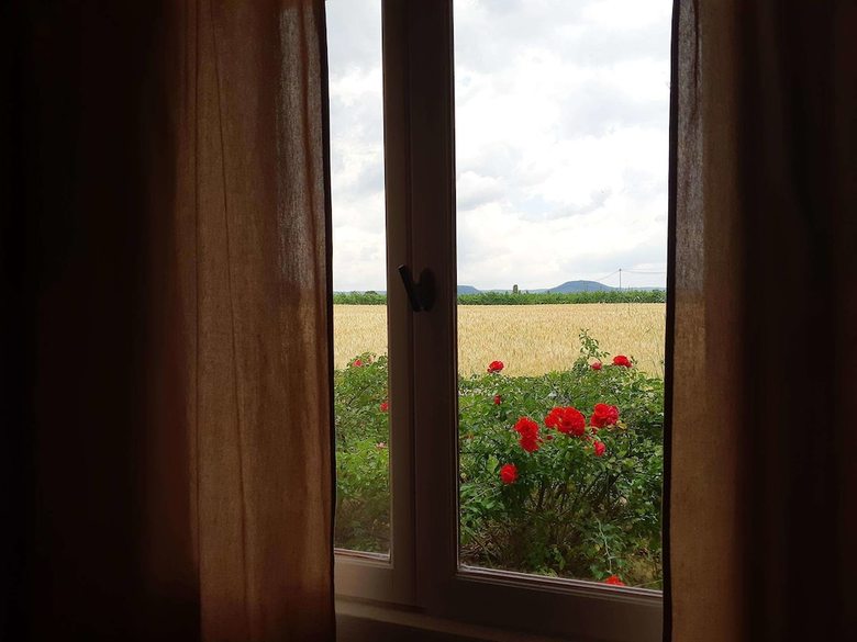 Hotel La Musardi�re Chambre D'h�tes