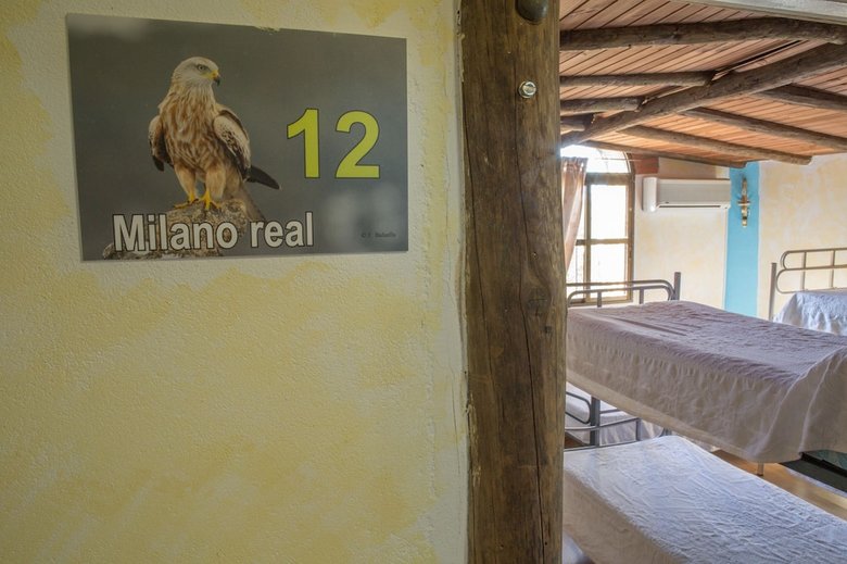 Hostal Albergue La Jarilla