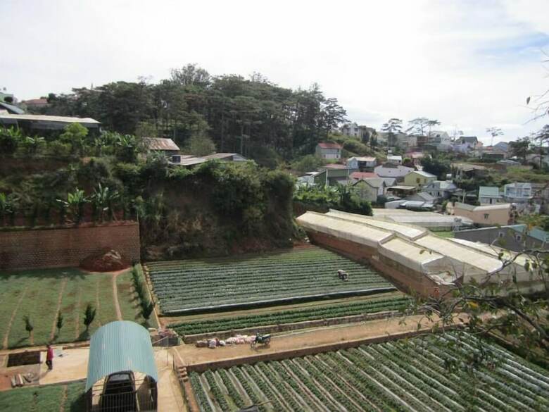 Hostal Dalat Friendly Fun Hostel