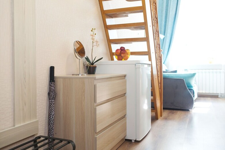 Duplex Apartments On Pushkinskaya 12
