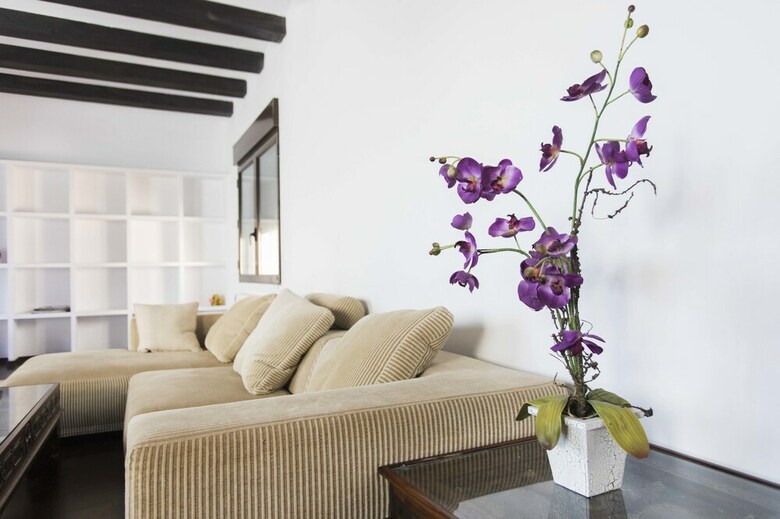 Living Valencia - Villas El Saler