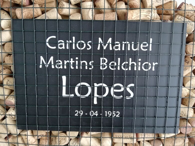 Apartamentos Belch1952