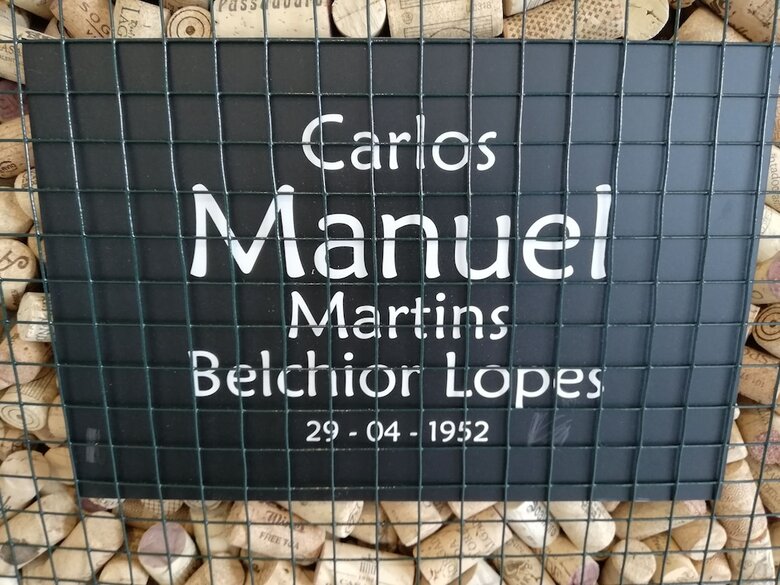 Apartamentos Belch1952