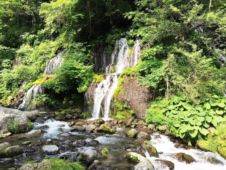 Hotel Guesthouse Curry Village