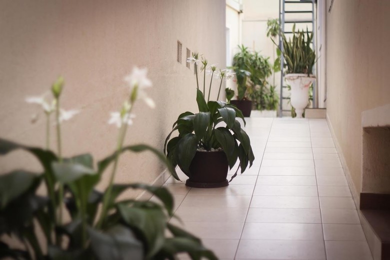 Hotel Cisne