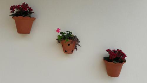 Miragem Chal�s
