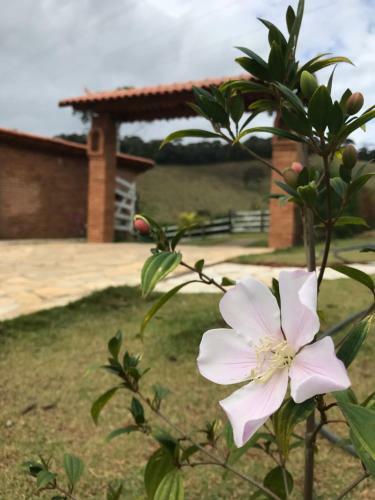 Lodge Pousada Chal�s Alternativa