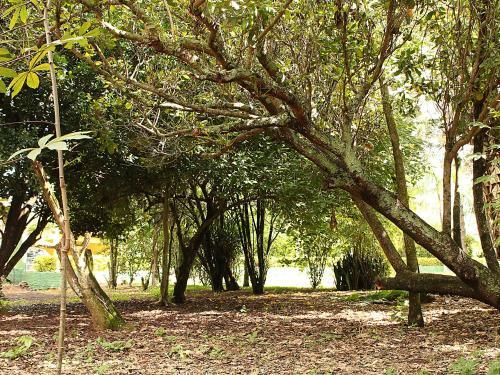 Guappo Ch�cara Hostel