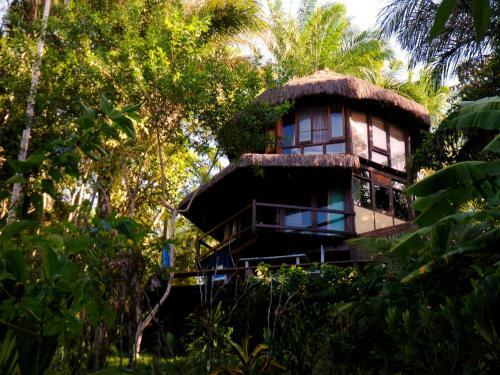 Eco Rainforest House