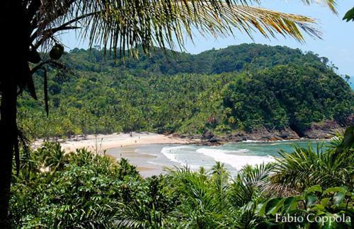 Eco Rainforest House