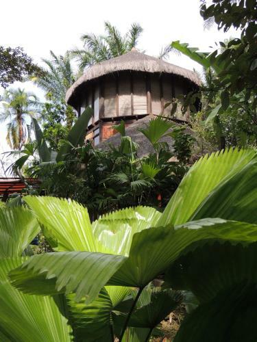 Eco Rainforest House