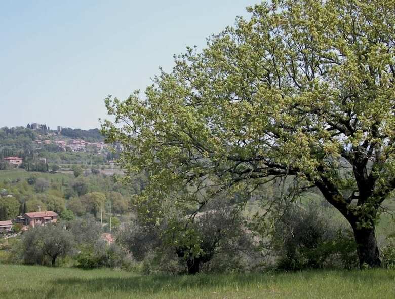 Agroturismo Verdidea - Podere Della Bruciata