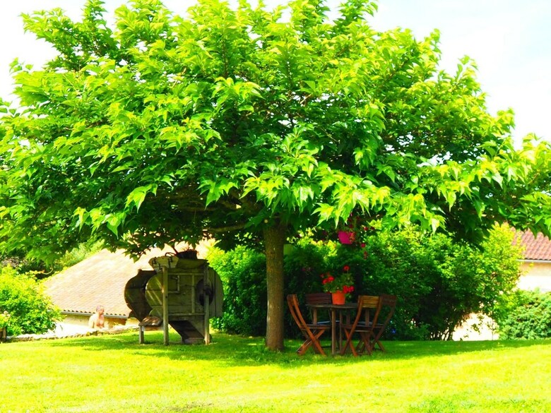 Gite La Belle Verte