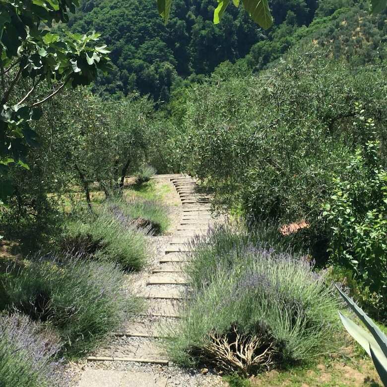 Verdidea - Villa Le Fonti