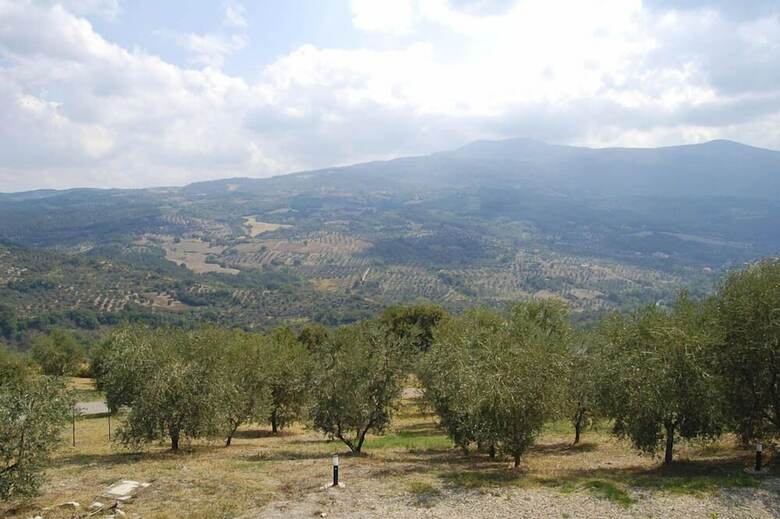 Villa Verdidea - Poggio Aperto