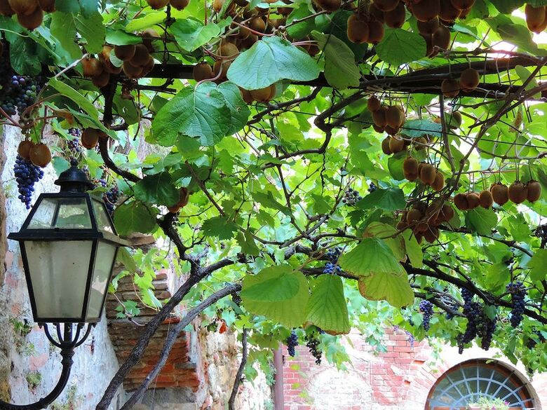 Apartamento Verdidea - Casa Del Pergolato
