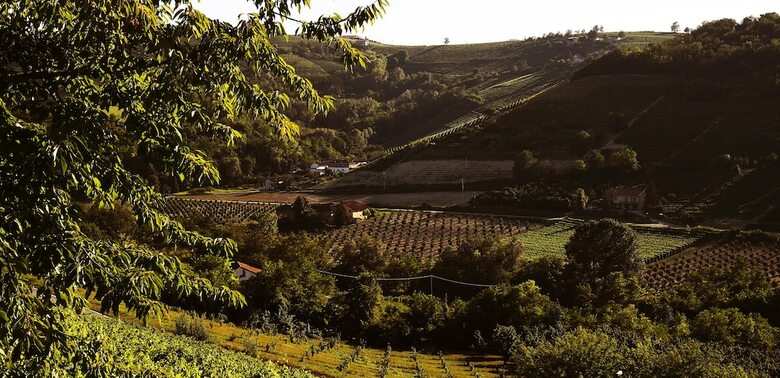 Agroturismo Villa Garassino