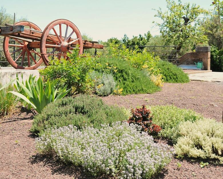 Bed & Breakfast Fonte Dell' Vsignolo