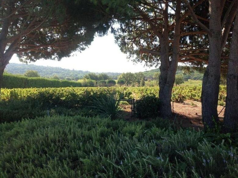 Villa Wineyard Pampelonne