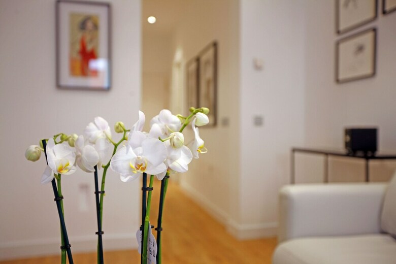 Apartamentos Paloma - Madflats Collection