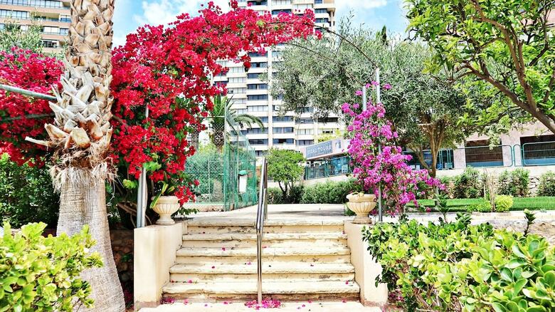Apartamentos Principado Europa