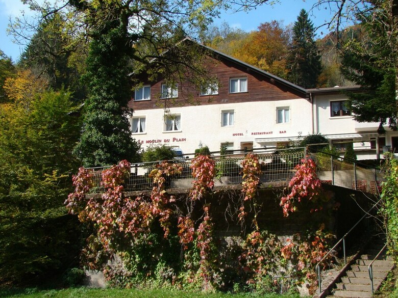 Hotel H�tel Restaurant Le Moulin Du Plain