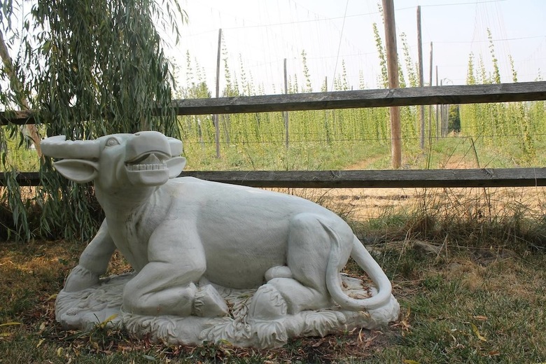 Apartamentos Hopyard View Farm ~ A Farm Experience In Ashland!