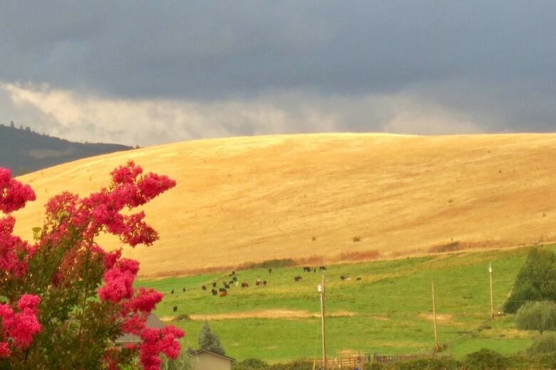 Apartamentos Hopyard View Farm ~ A Farm Experience In Ashland!