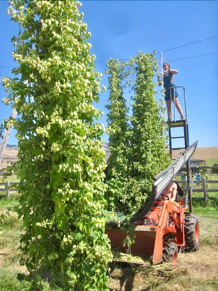 Apartamentos Hopyard View Farm ~ A Farm Experience In Ashland!