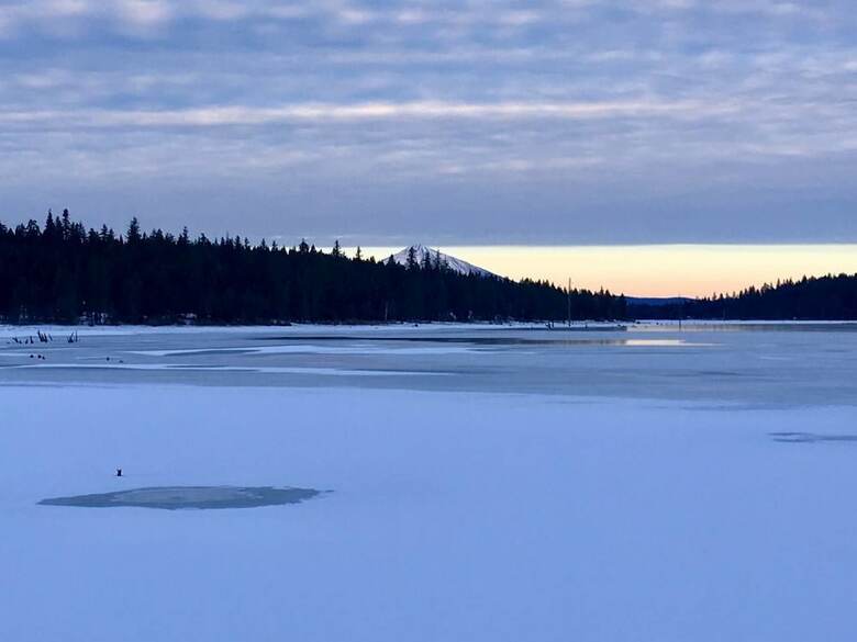 #51 & #52 Hyatt Lake Compound~sleeps 10~lake View