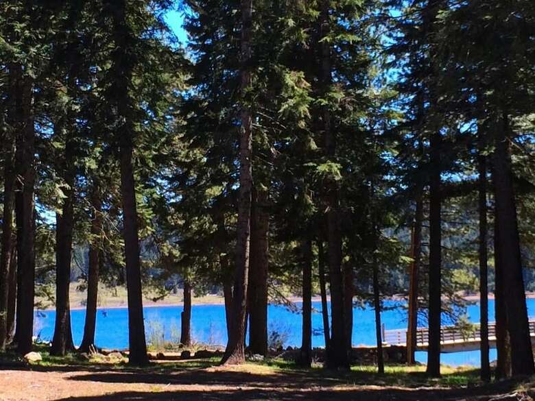 #51 & #52 Hyatt Lake Compound~sleeps 10~lake View