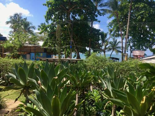 Apartamento Concha Tropical Flat