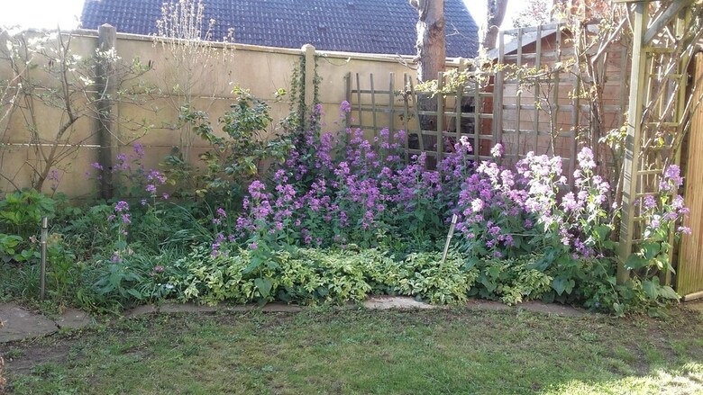 Bed & Breakfast Chambre Du Jardin Fleuri