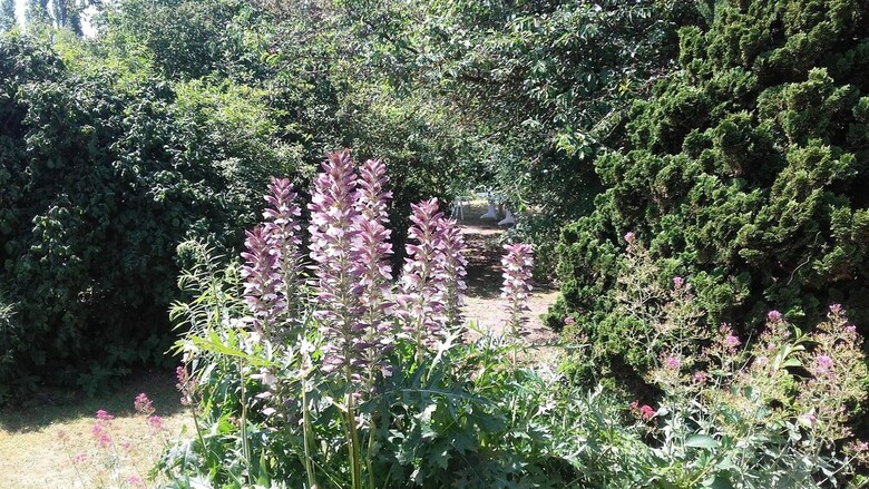Bed & Breakfast Chambre Du Jardin Fleuri