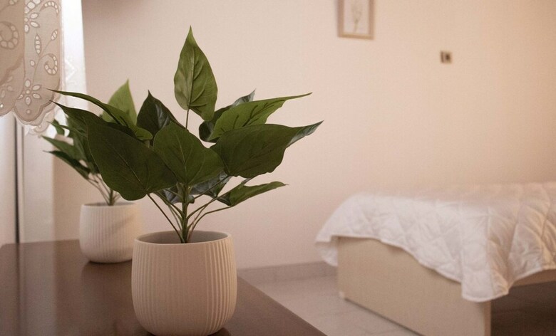 Apartamentos Yard Rooms