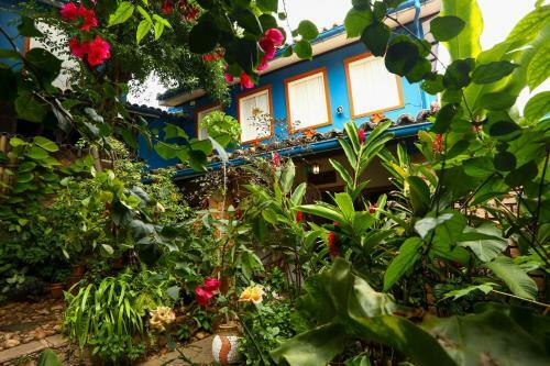 Hostal Hospedaria Magoo