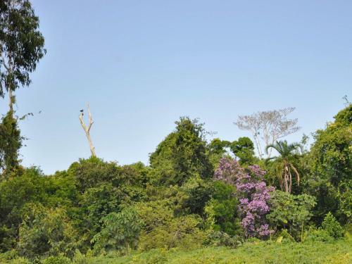 Village Mata Encantada