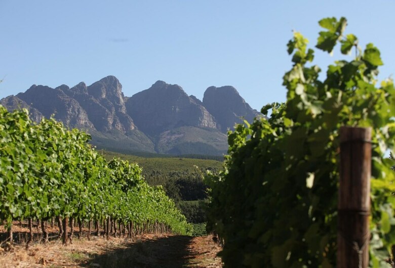 Africamps At Doolhof