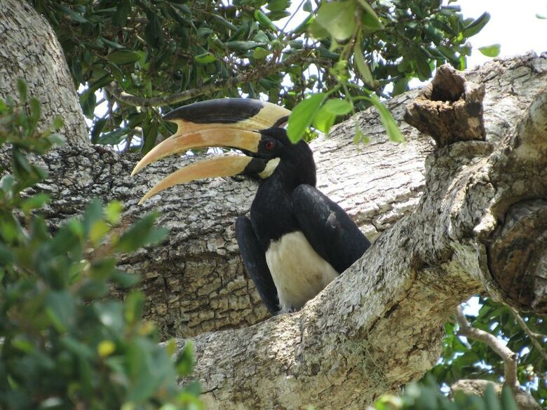 Hotel Wadula Safari Yala