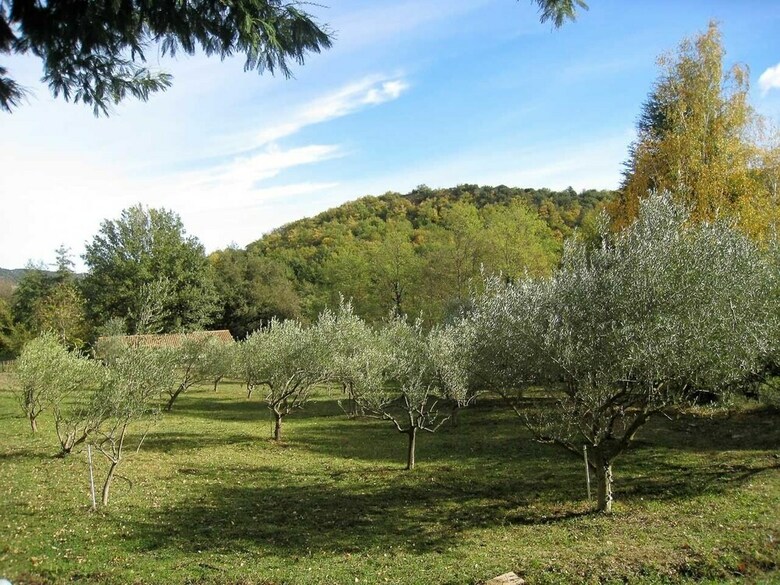Les G�tes Du Moulin de La Passere