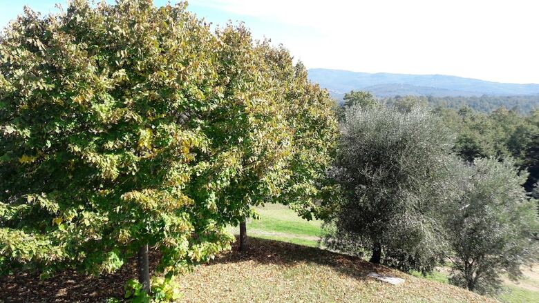 Apartamento Poggio Della Bandina