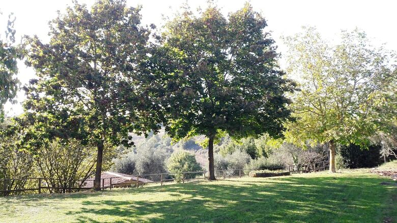 Apartamento Poggio Della Bandina