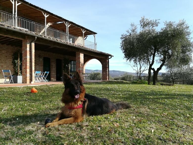 Apartamento Poggio Della Bandina