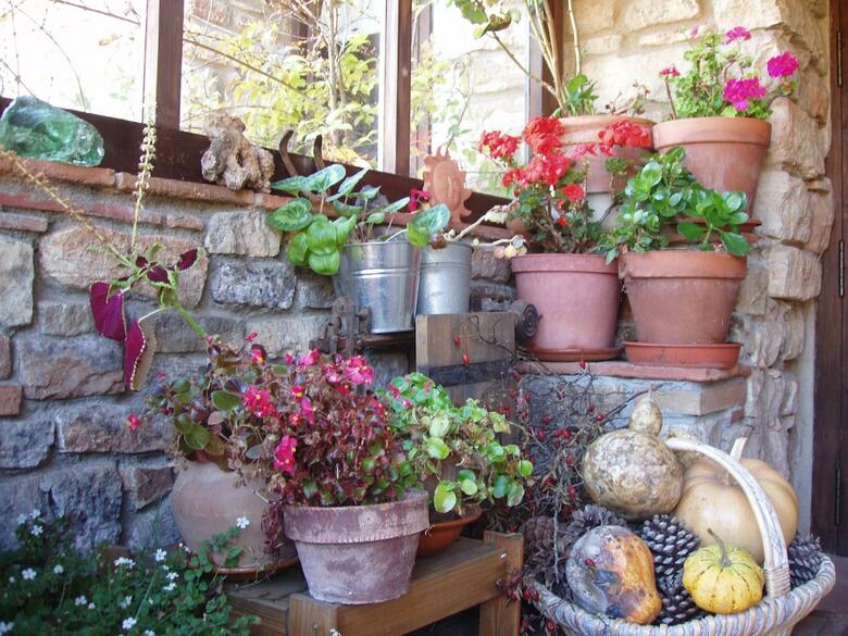 Agroturismo Mas de L'arlequi Casa Rural