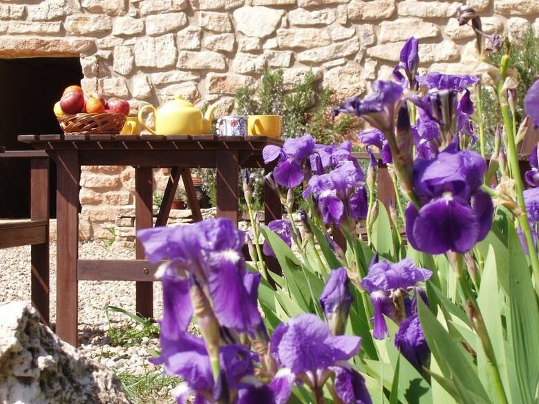 Agroturismo Mas de L'arlequi Casa Rural