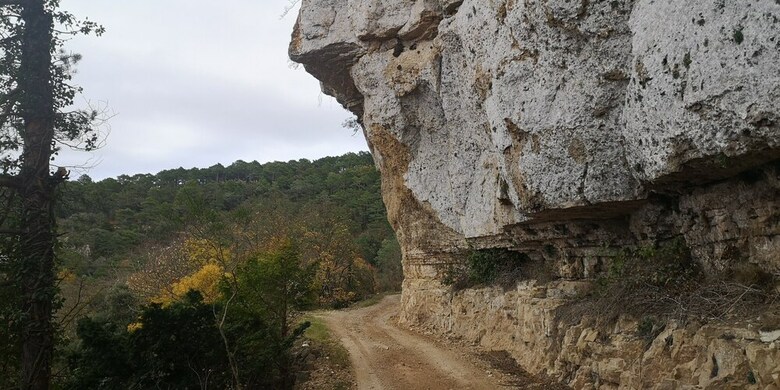 Agroturismo Mas de L'arlequi Casa Rural