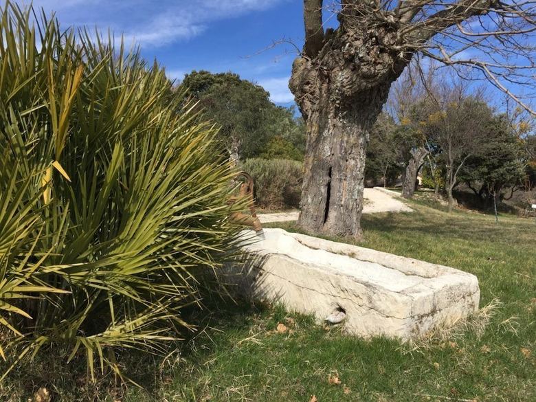 Mas de Panta� - Cottage Grand Ch�ne
