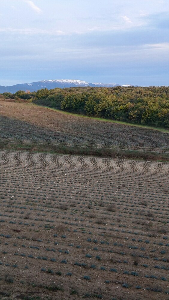 Mas de Panta� - Cabane 7�me Ciel